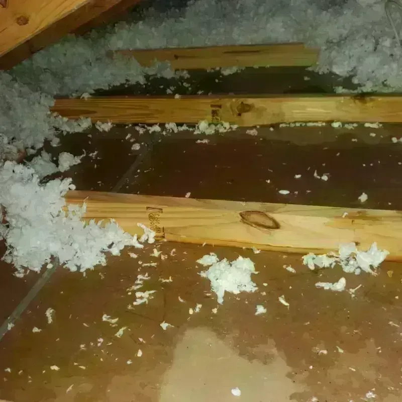 Attic Water Damage in Occoquan, VA